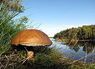 Finland