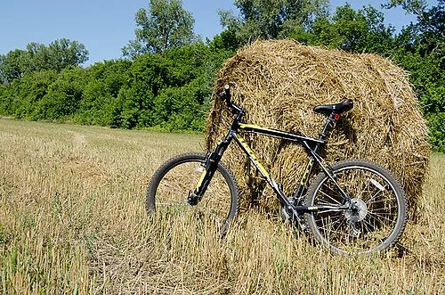 GT Bicycles