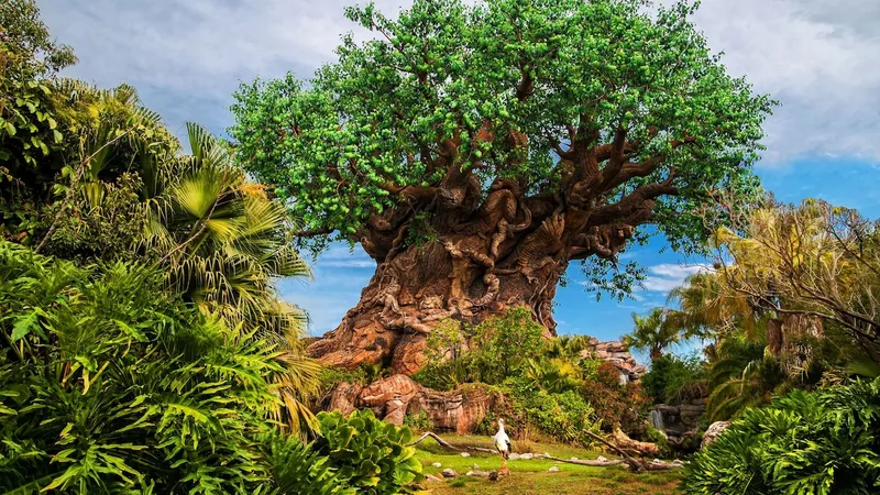 Disney's Animal Kingdom Theme Park cover