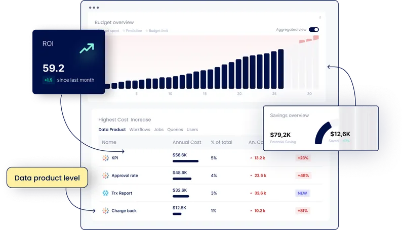 Seemore Data ROI Optimization cover