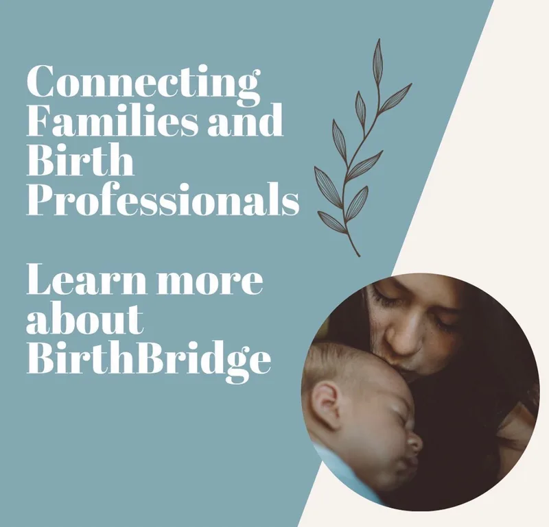 BirthBridge cover