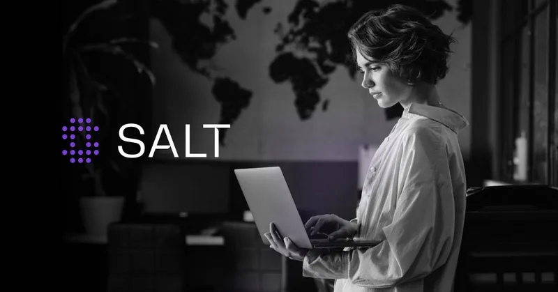 Salt Security cover