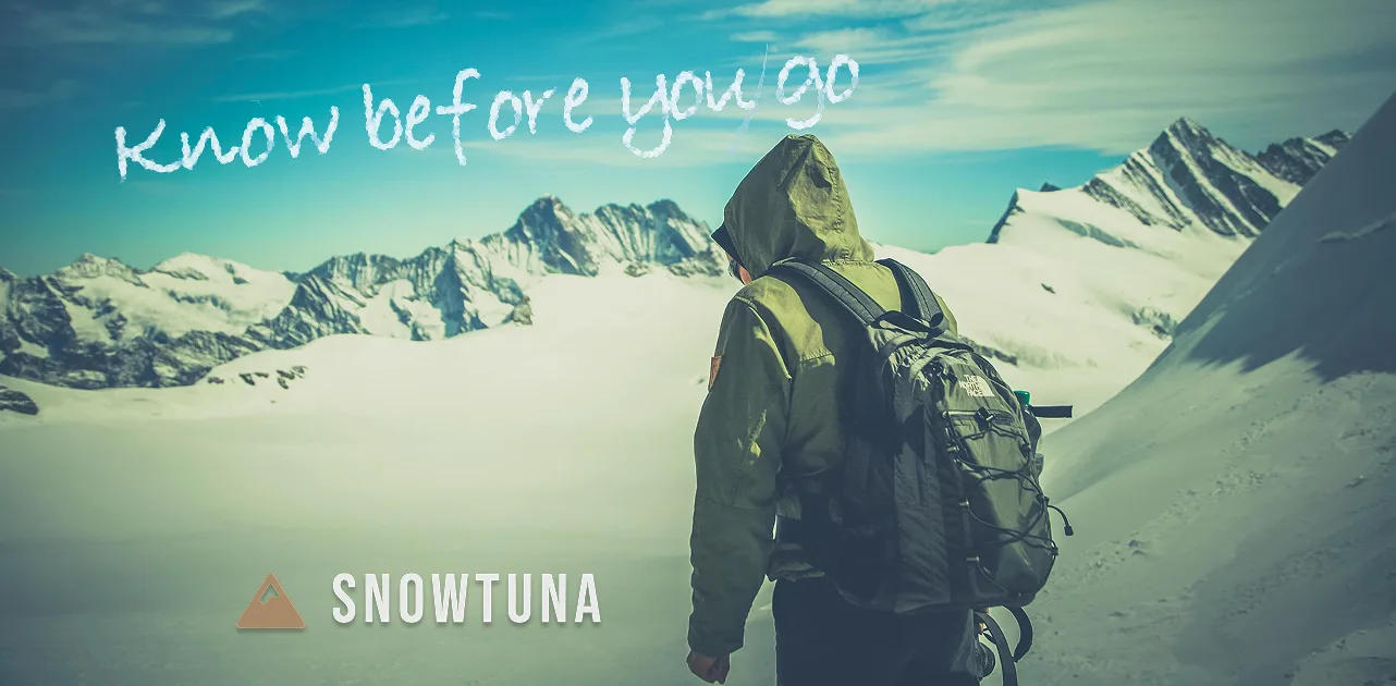 Snowtuna cover