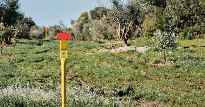 Southern Gas Corridor cover