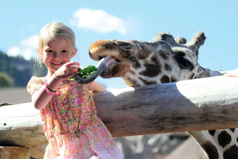 Cheyenne Mountain Zoo cover