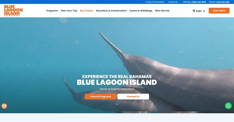 Dolphin Encounter cover