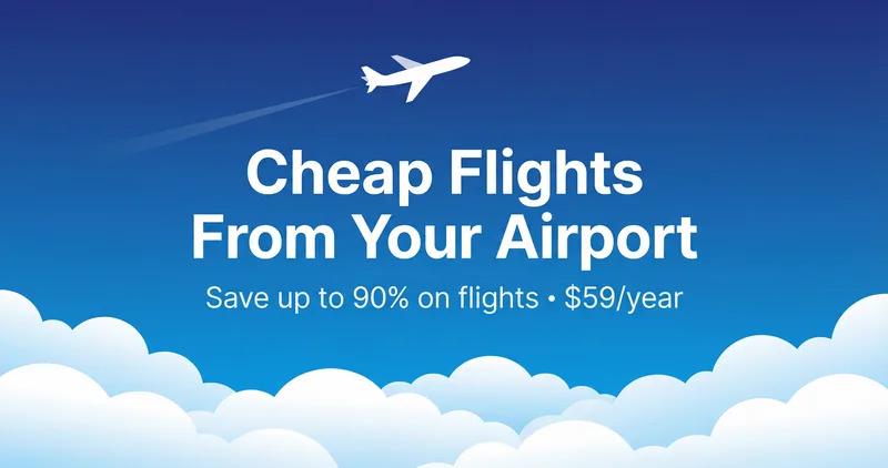 Homebase Flights cover