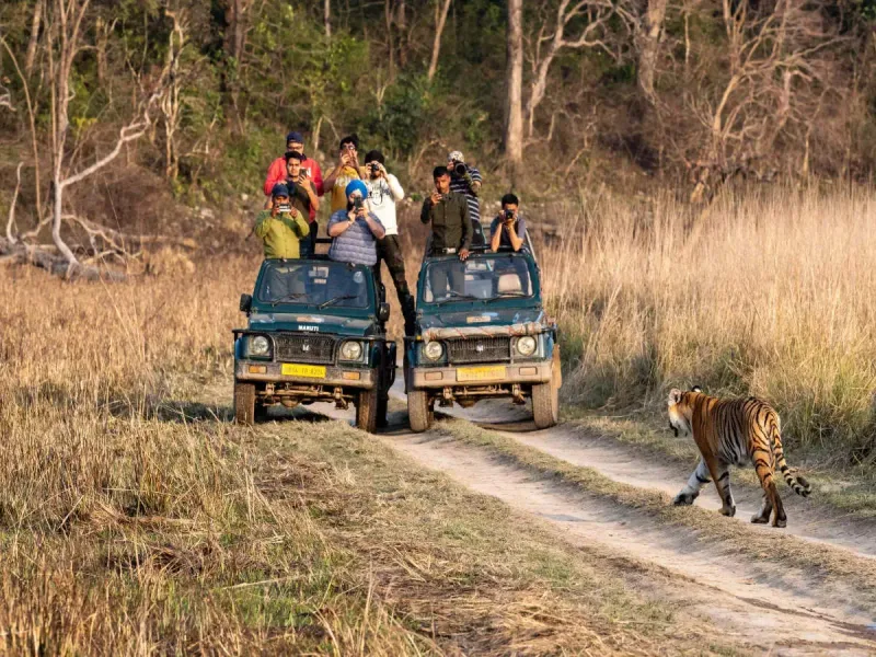 Indias Corbett Tiger Reserve cover