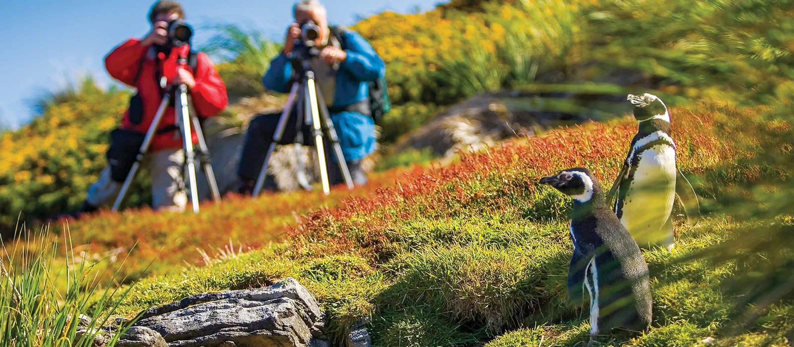 National Geographic Expeditions cover