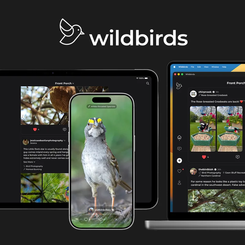 Wildbirds cover