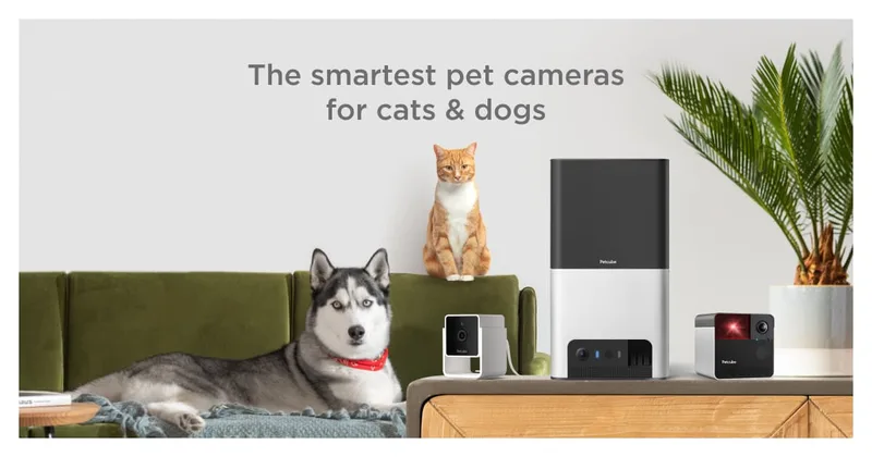 Petcube web-site cover