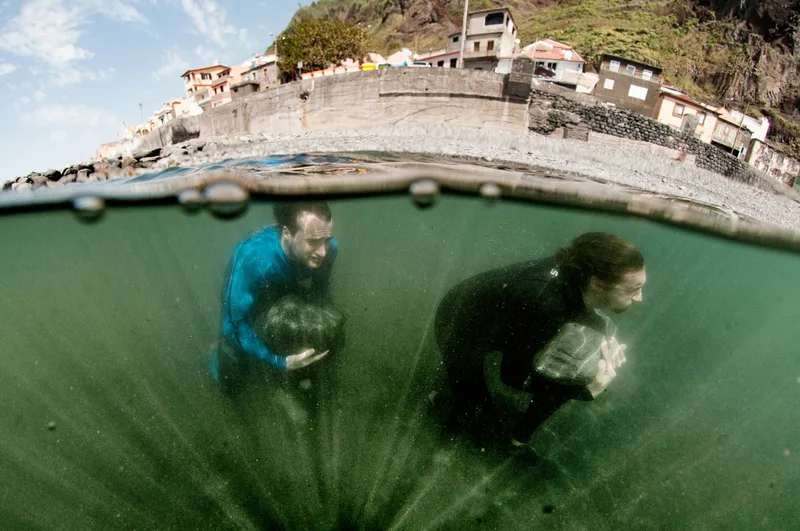 Big Wave Surfing cover