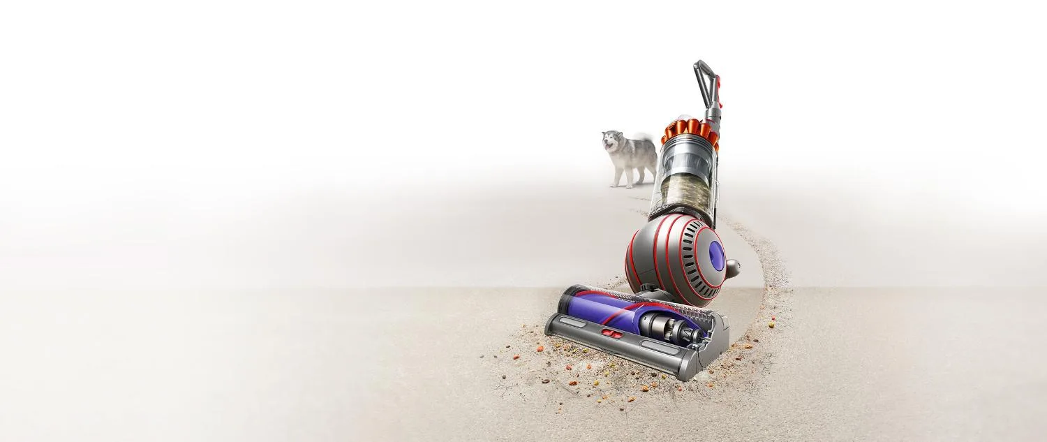 Dyson Ball Animal cover