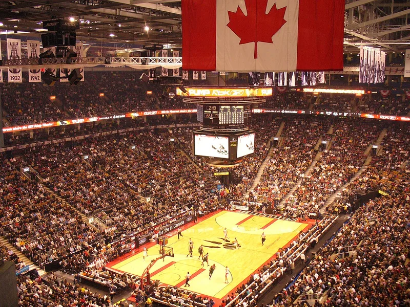 Toronto Raptors cover