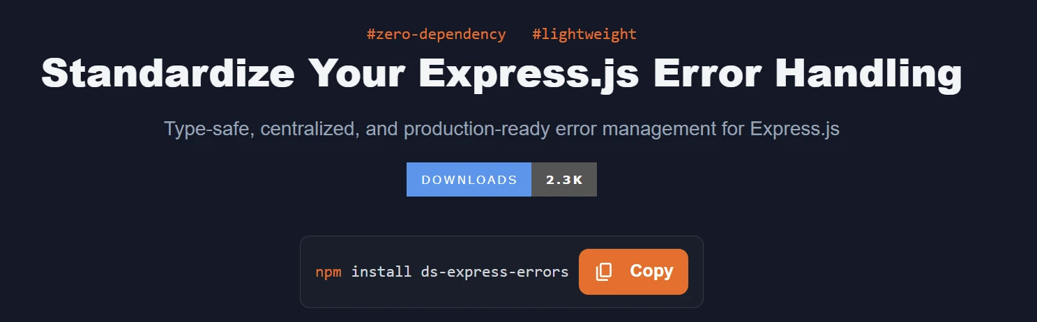 ds-express-errors cover