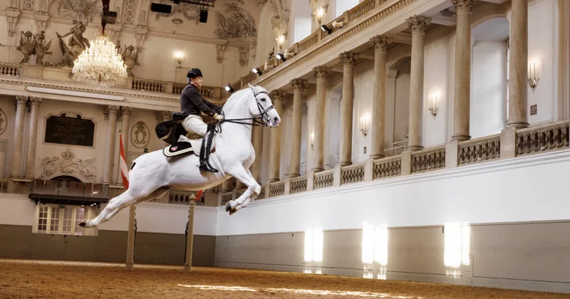 Spanish Riding School of Vienna cover