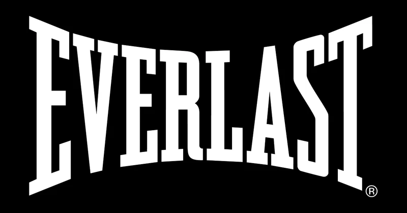 Everlast Boxing Gloves cover