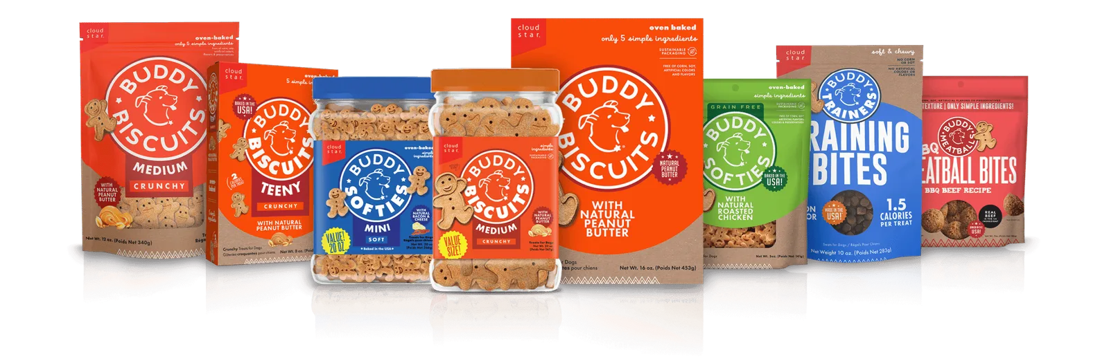 Buddy Biscuits cover