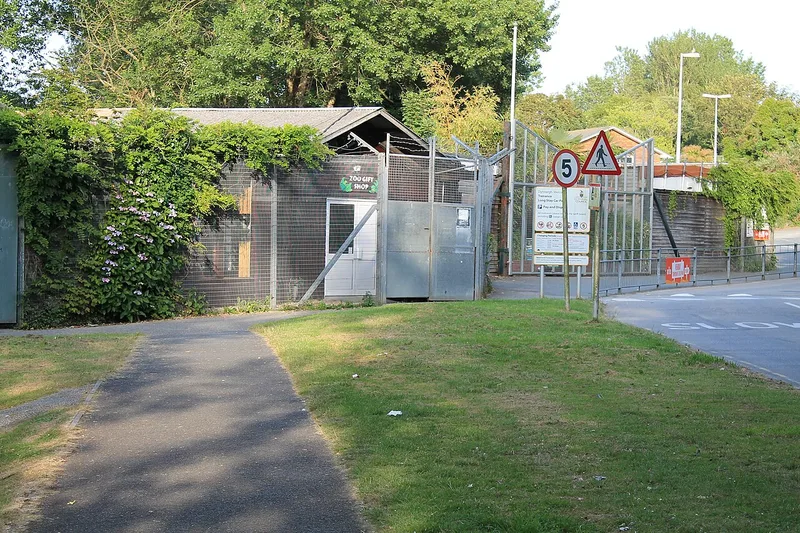 Newquay Zoo cover