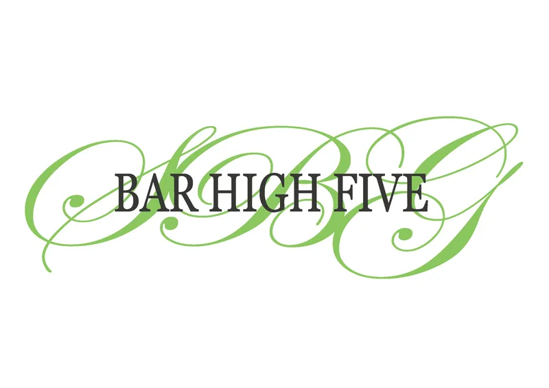 Bar High Five cover
