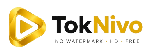TokNivo cover