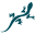 Chaco Silk