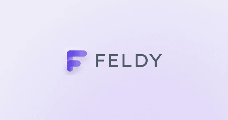 Feldy AI cover