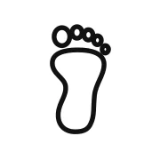 AEO Footnotes